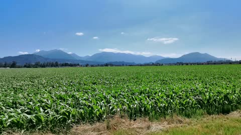 Chilliwack bc the mountain fish bowl