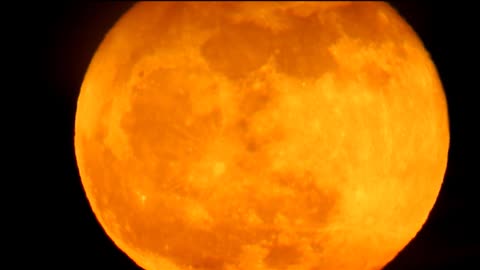 Airplane Flies Across Rising Harvest Moon
