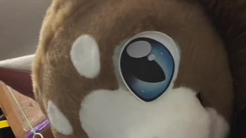 Kia's Fursuit Process