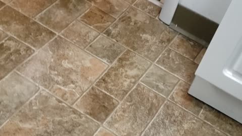 Don't back away from me!