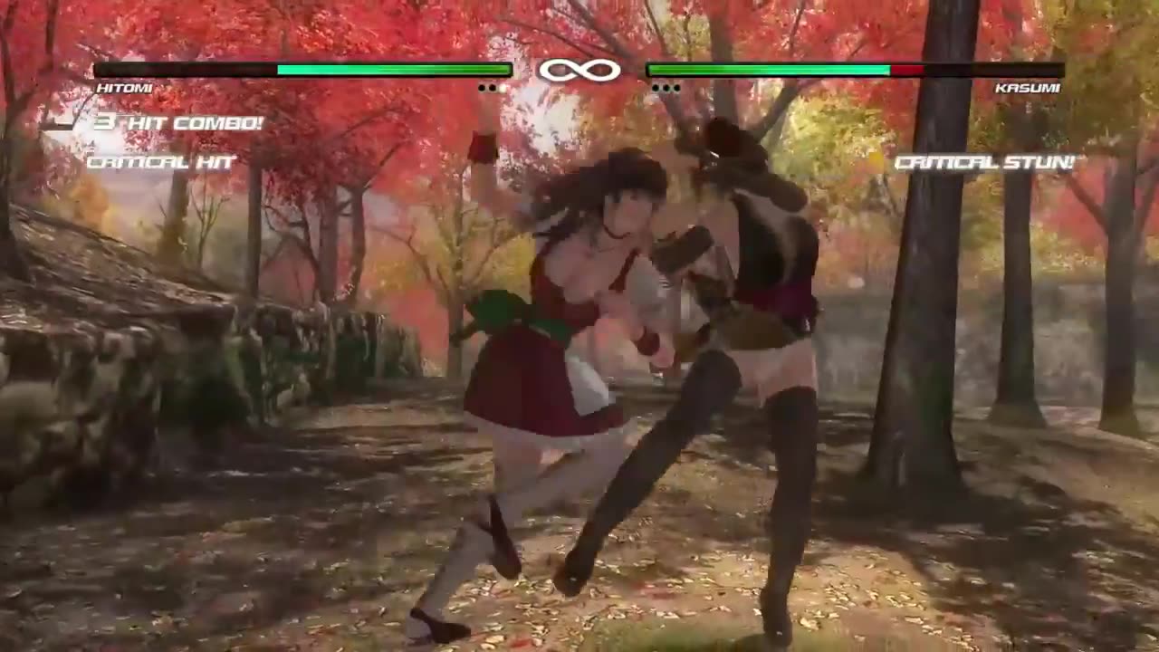 Hitomi vs Kasumi