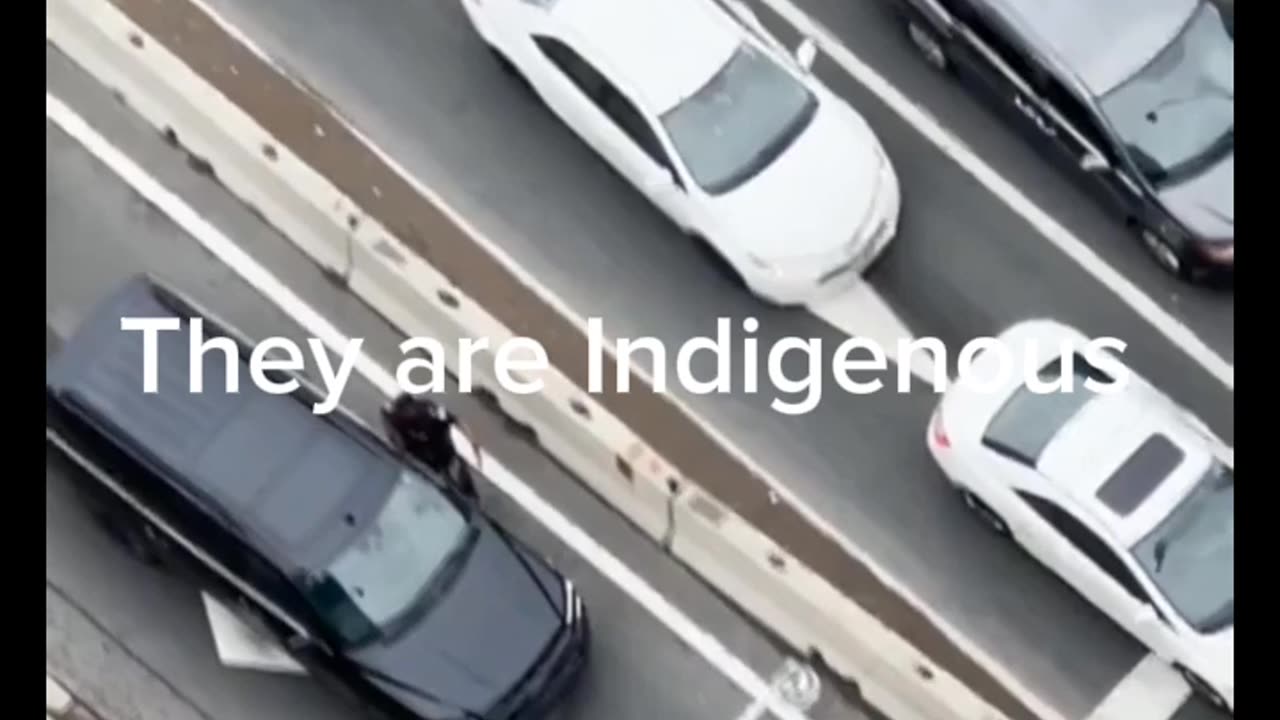 Indigenous protesting mistaken for Hamas!