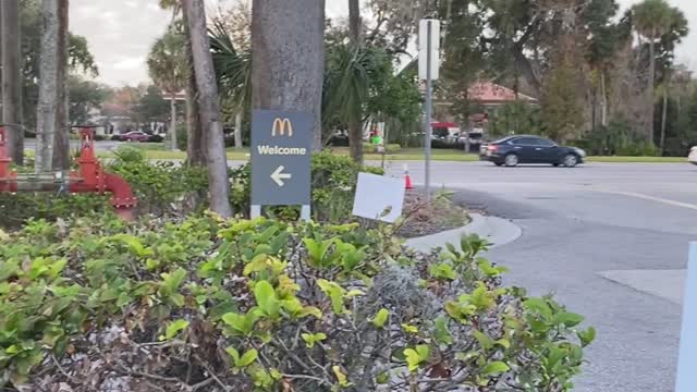 Florida Woman Hangs onto Car Hood