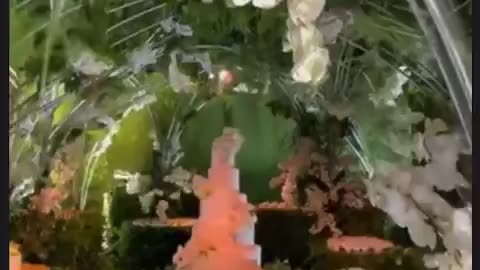 Wedding Decoration Plus Cake