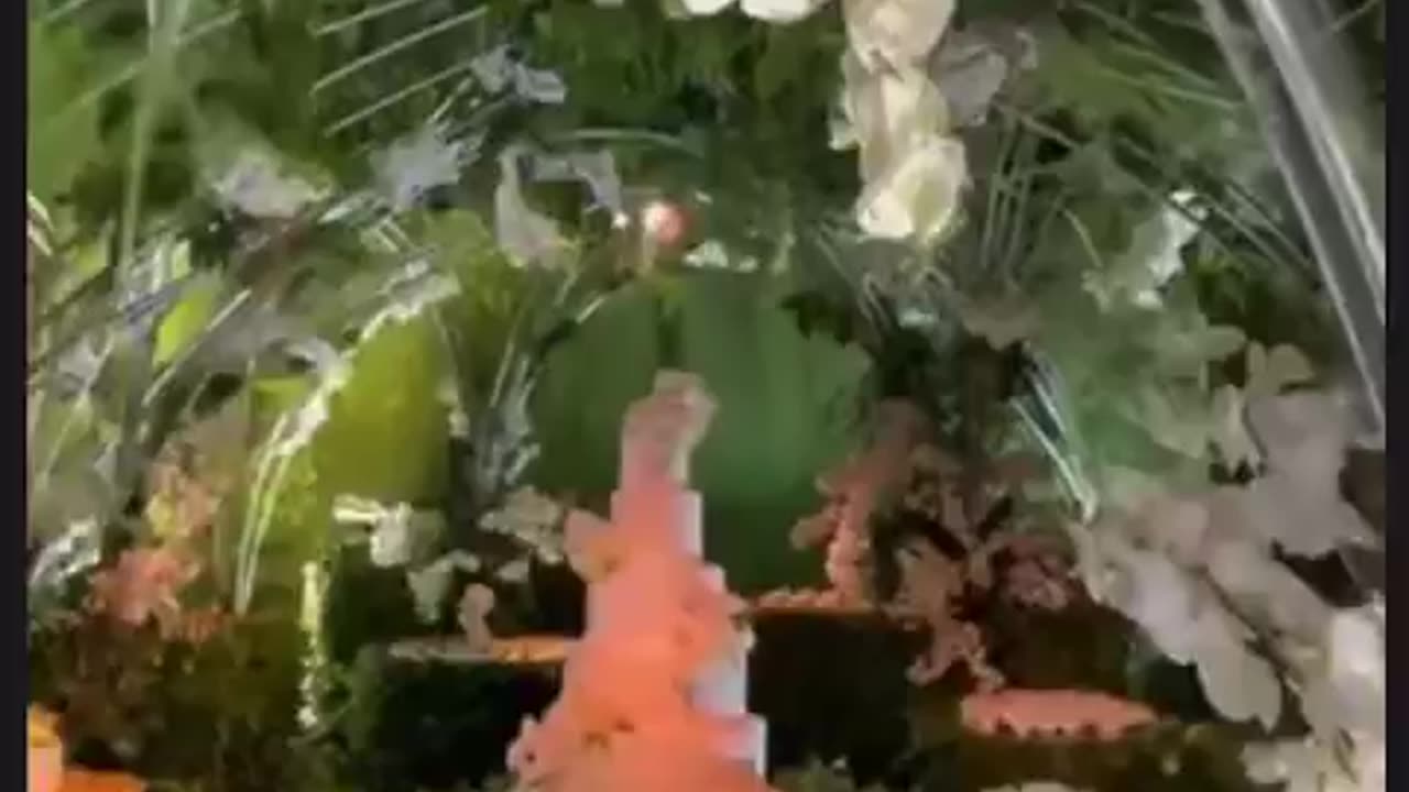 Wedding Decoration Plus Cake