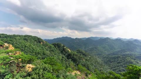 Cloud forest