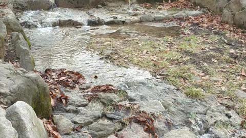 Stream flowing