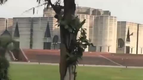 Bangladesh parliament vabon