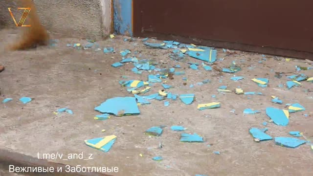 Vasilyevsky district, almost completely liberated Zaporizhzhya region.