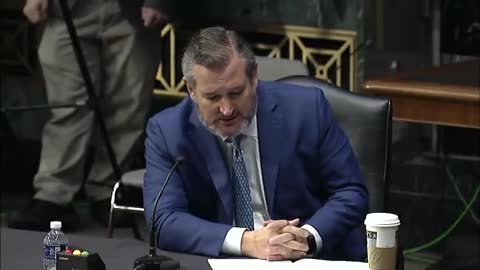 'Name One Sanction You Have Put On Iran': Ted Cruz Clashes With Biden Official During Hearing