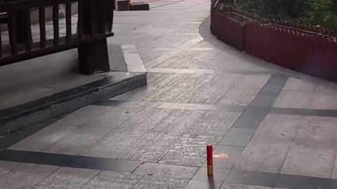 funny video 🤣😅🤣🤣 comedy video 😅🤣😅 for you🤣😅😅 amazing video