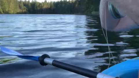 Patriot Fishing part 8-4
