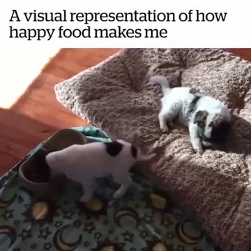 Burning calories even before they hit the fat factory