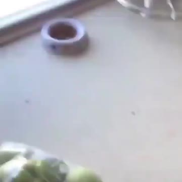 Haha I lol'd out loud