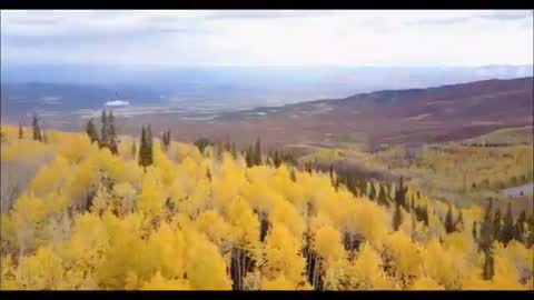 BEAUTIFUL PLACE OMG