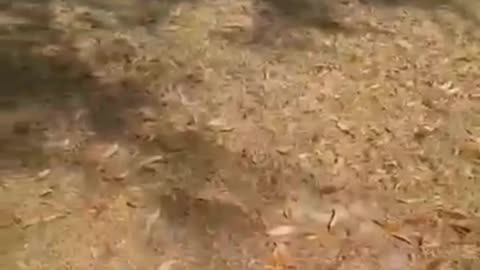 funny fails compilation