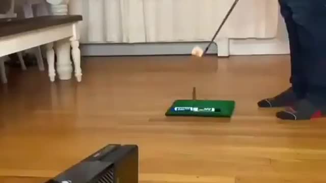 A wonderful moment captured on camera