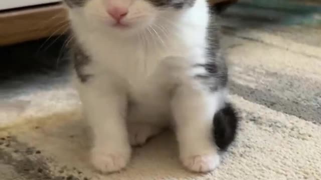I know you haven't woke up yet