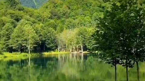 Beautiful Nature