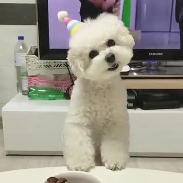 Who put this delicious food that far from me?