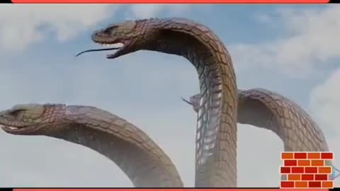 Nice_video_clip