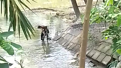 Fisher man