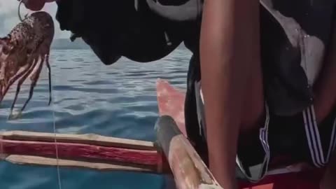Catch fish with small lobster