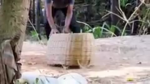 Troll Prank Dog Funny & fake Lion and fake Tiger Prank to Dog & Huge Box Prank to do😅😅😅