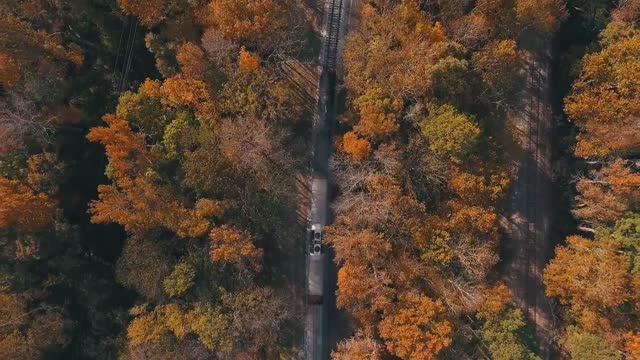 World Scene