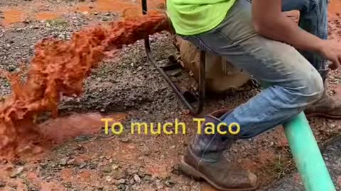 Too much taco