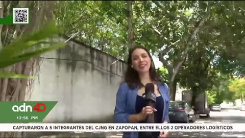 Se agotan los productos básicos en Yucatán por compras de pánico ante la llegada de “Beryl”