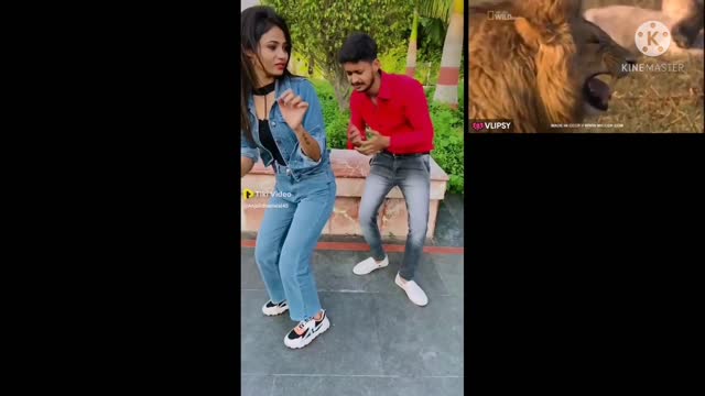 BEST FUNNY VIDEO