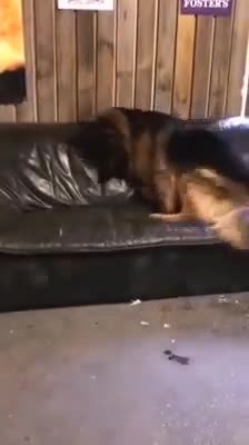 Came home from work. Tired...