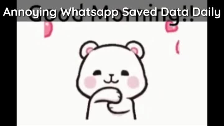 Annoying Whatsapp Saved Data Daily no. 2
