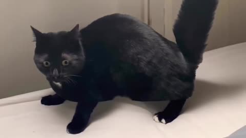 An Amazing Transformation