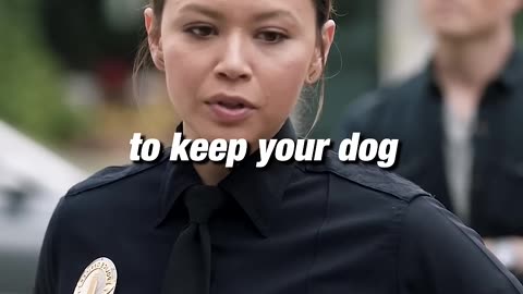 The dog helped the cops🐶