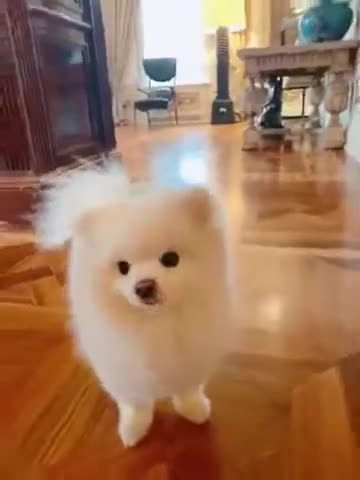 Ez7NRG67U3NcRA52RsBtrv