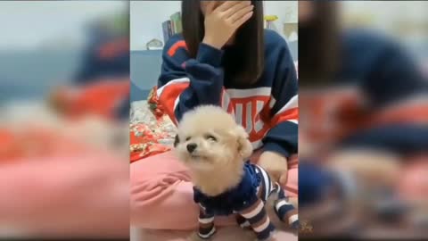 ❤️ CUTE PETS 2021, FUNNY PLAYING WITH CHILDREN _BEAUTIFUL