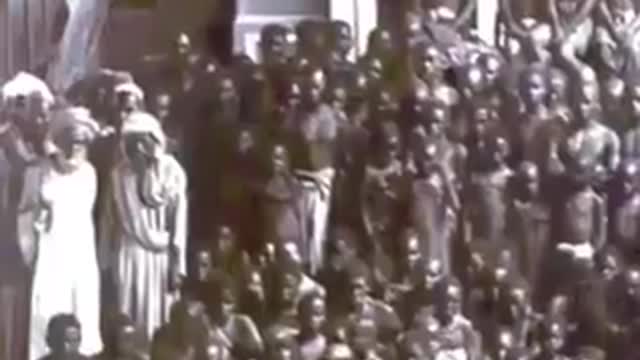 22880 https://www.islam-et-verite.com/pourquoi-les-africains-se-sont-ils-convertis-a-lislam/