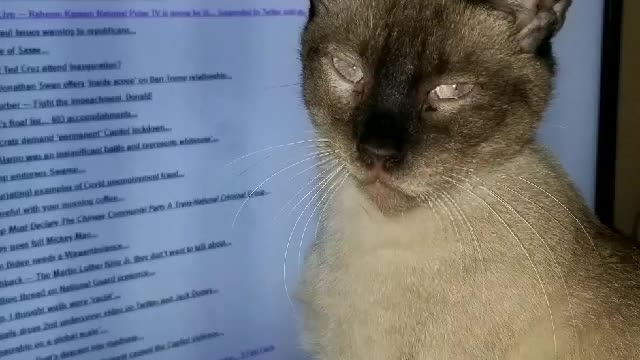 Rep Cat Gaetz reads headlines from citizen free press.com Jan 18 2021