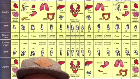 Interesting - Wisdom Teeth