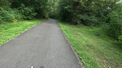 The White Cliff of Conoy