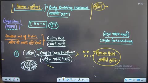 16 Nutrition 4