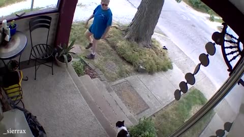 When you’ve got guard cats 🐱 Funny Cat Video 2024