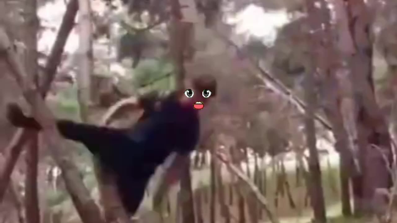 Level sab ke niklanga meme