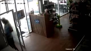One Snake Enters, One Worker Leaves