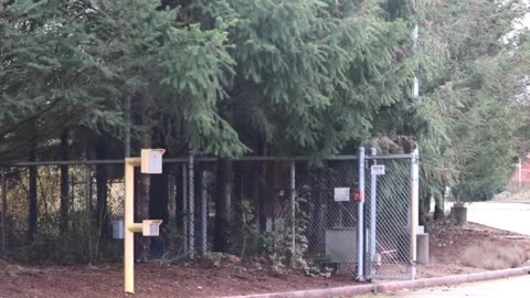 HOMELESSNESS IN PORTLAND OREGON