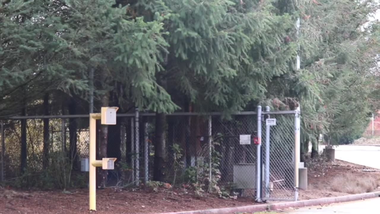 HOMELESSNESS IN PORTLAND OREGON