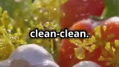 Organic Farming tips India