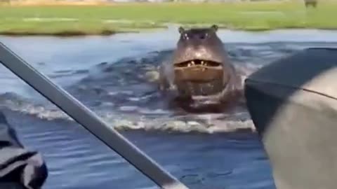 Nature's Harsh Moments Compilation 6😮👀